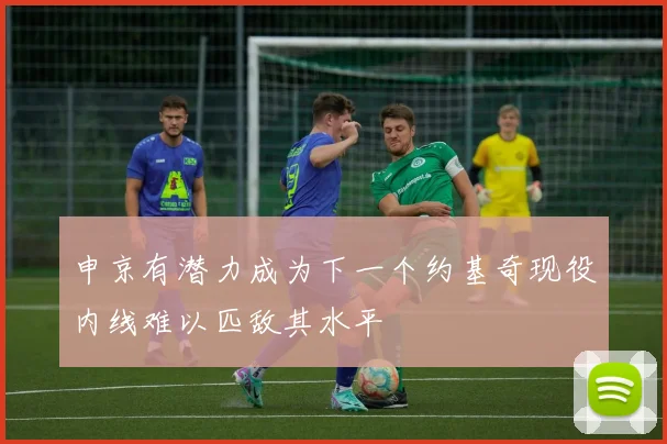 申京有潜力成为下一个约基奇现役内线难以匹敌其水平